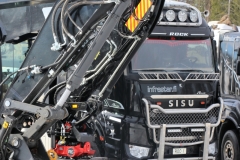 Sisu
